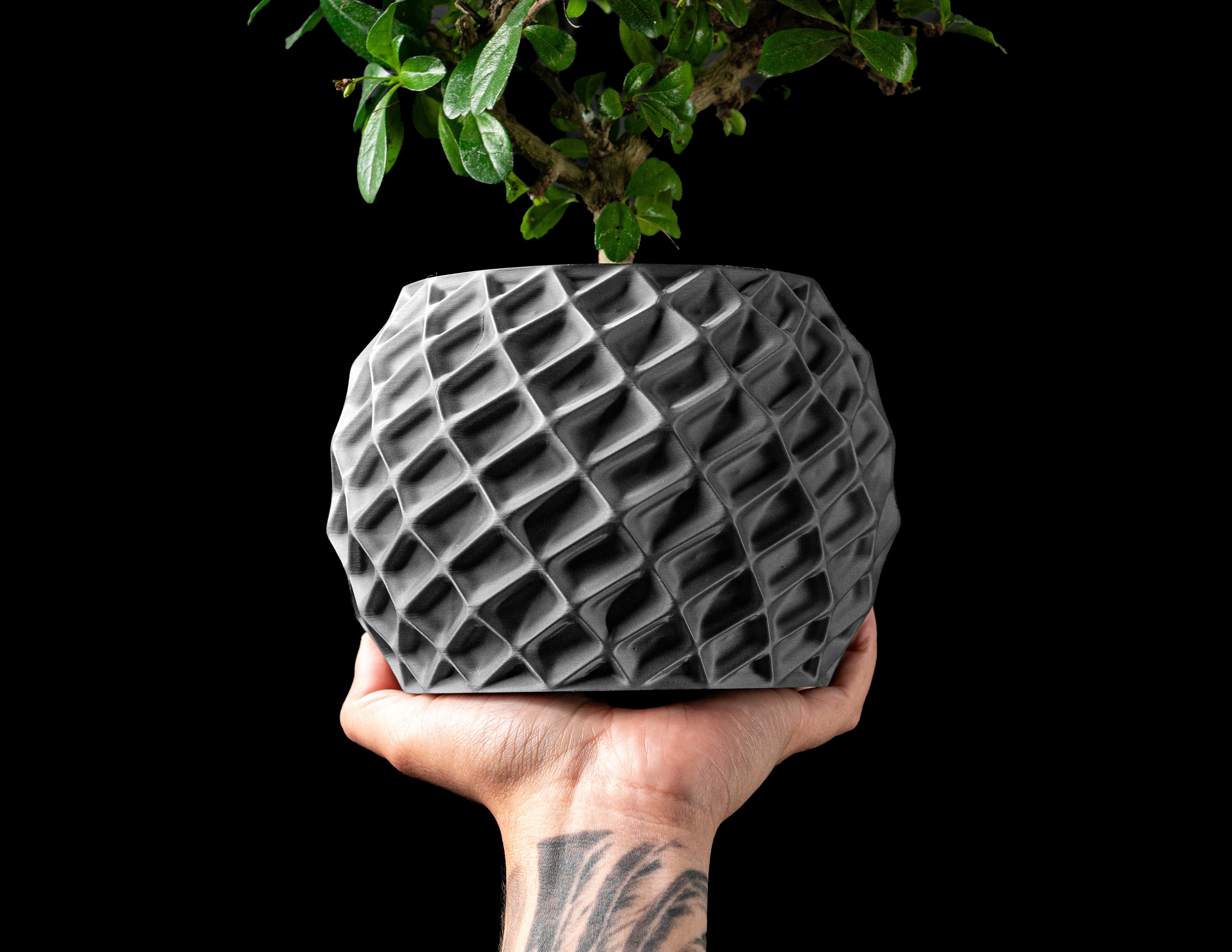 CORAL — Sculptural Planter