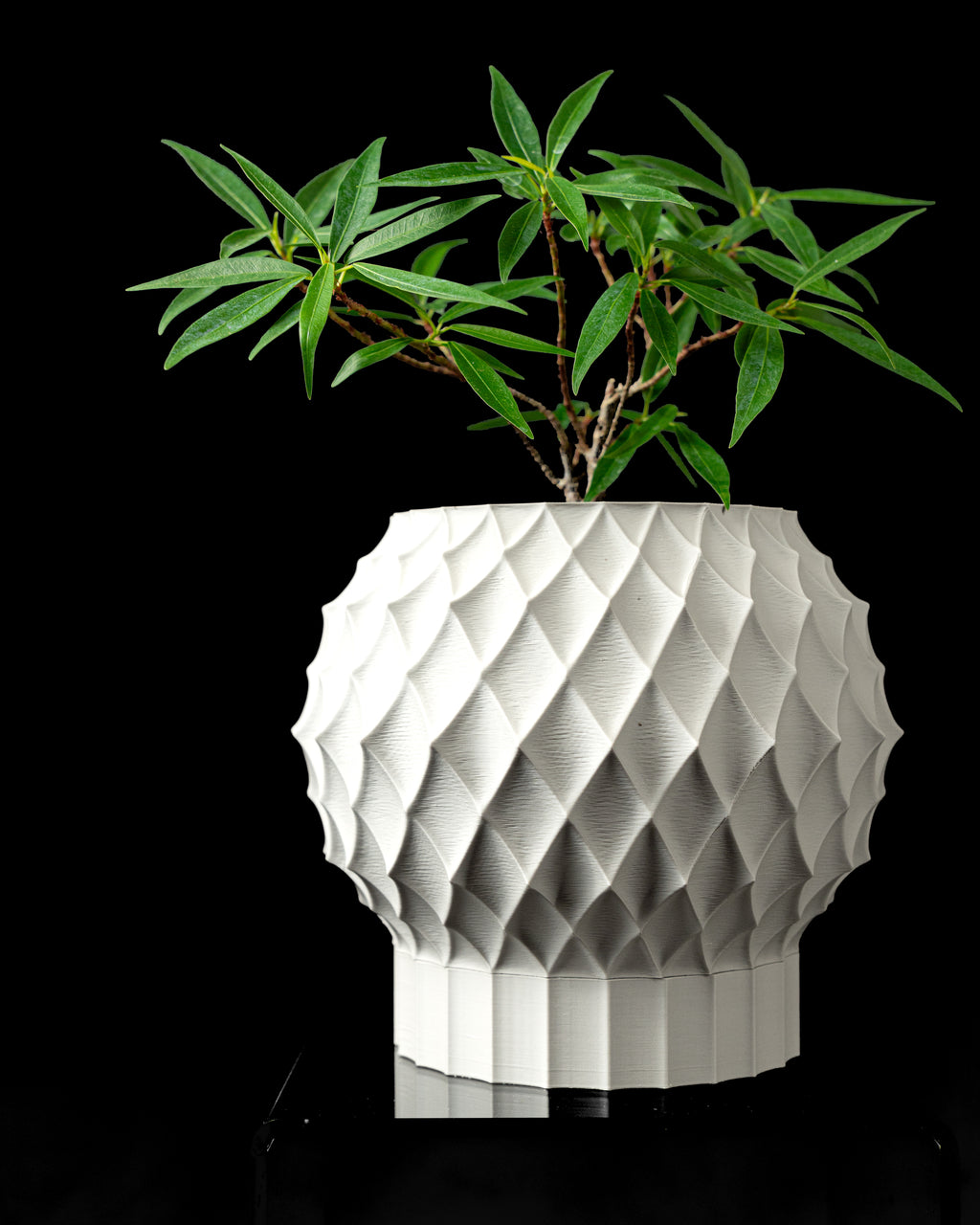CADEIA — Sculptural Planter