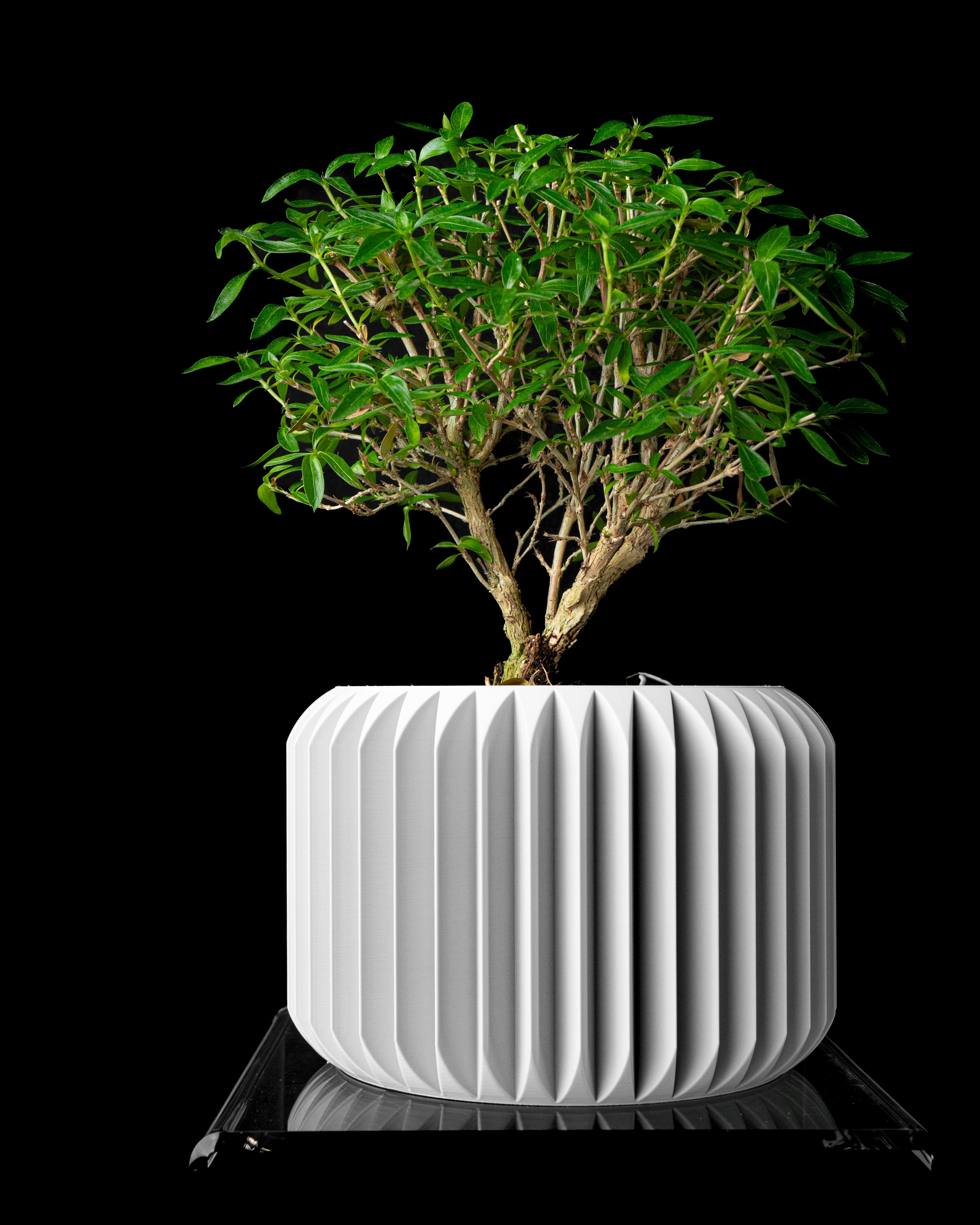 TERRA — Sculptural Planter