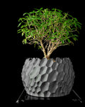 PÉTALA — Sculptural Planter